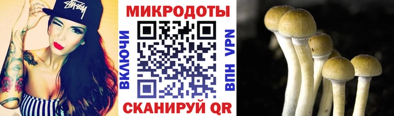 Псилоцибиновые грибы GOLDEN TEACHER Судогда